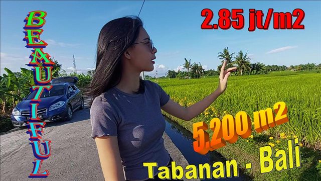 FOR SALE Magnificent LAND IN TABANAN BALI TJTB642