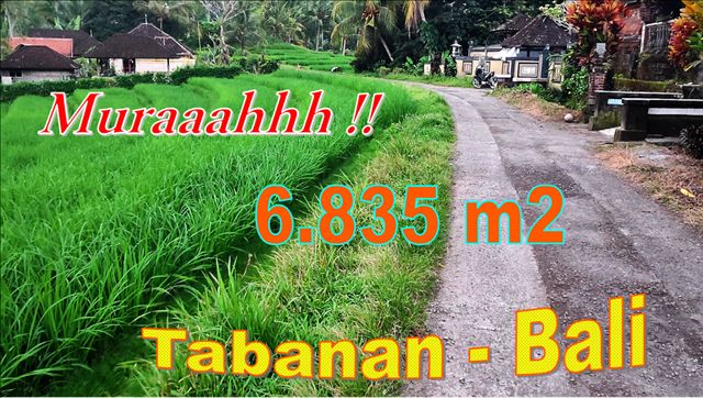 Cheap property 6,835 m2 LAND FOR SALE IN TABANAN TJTB673