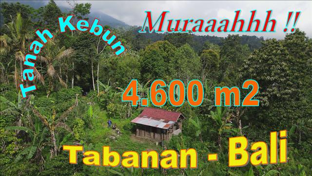 Cheap property LAND IN Pupuan Tabanan FOR SALE TJTB674