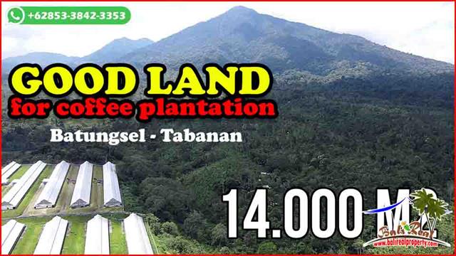 14,000 m2 LAND FOR SALE IN Pupuan Tabanan BALI TJTB677