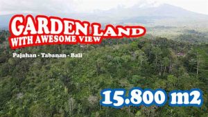 Magnificent PROPERTY Pupuan Tabanan LAND FOR SALE TJTB678