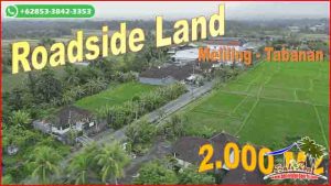 Beautiful 2,000 m2 LAND IN TABANAN FOR SALE TJTB679