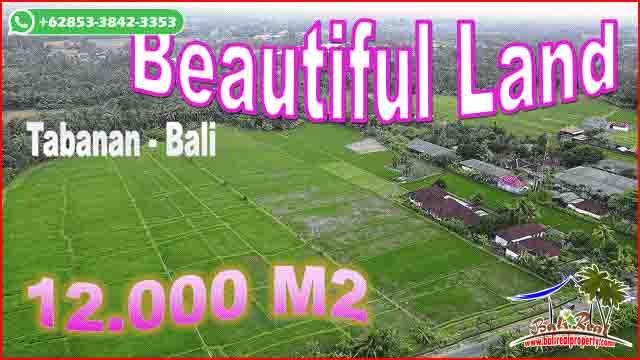 12,000 m2 LAND IN Kerambitan Tabanan BALI FOR SALE TJTB680