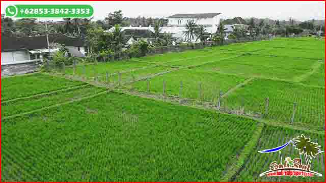 Beautiful Kerambitan Tabanan LAND FOR SALE TJTB680