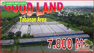 FOR SALE Beautiful PROPERTY LAND IN Kerambitan Tabanan TJTB681