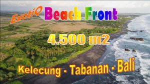 FOR SALE Magnificent PROPERTY LAND IN Selemadeg Timur TJTB684