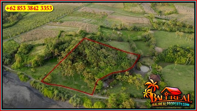 FOR SALE Magnificent PROPERTY LAND IN Selemadeg Timur TJTB684