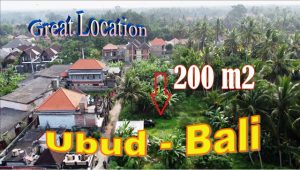 Beautiful 200 m2 LAND SALE in Ubud Pejeng BALI TJUB850