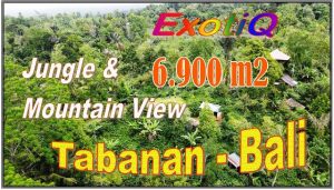 FOR SALE Ex0tic LAND IN TABANAN BALI TJTB699