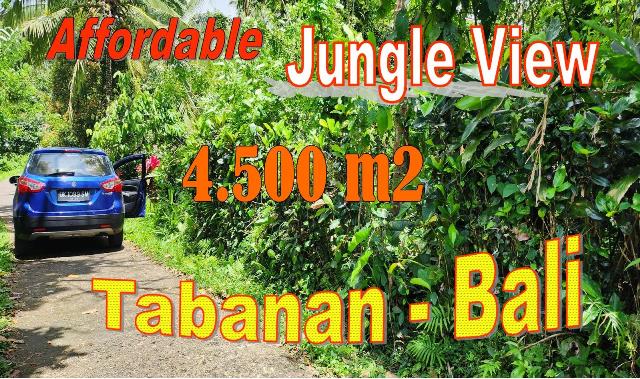 FOR SALE Cheap property 4,500 m2 LAND IN Penebel Tabanan BALI TJTB697