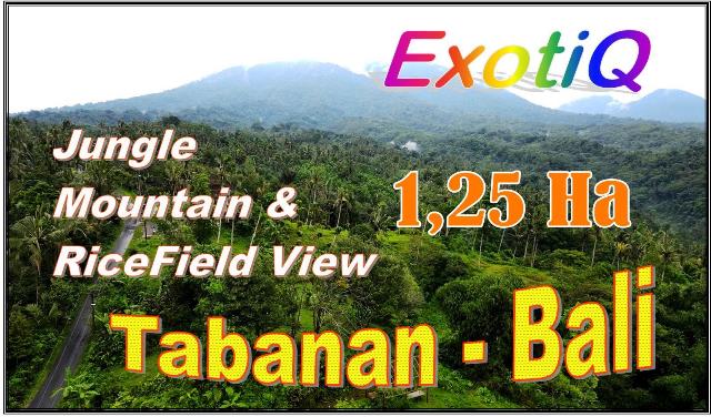 FOR SALE Exotic 20,000 m2 LAND IN Penebel Tabanan BALI TJTB698