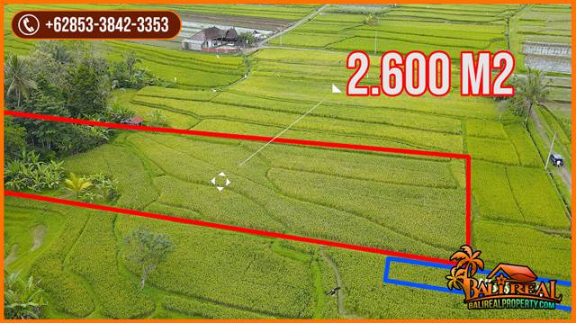 Magnificent PROPERTY 2,500 m2 LAND SALE IN TABANAN TJTB691