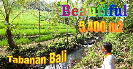 FOR SALE Beautiful 5,400 m2 LAND IN Pupuan Tabanan BALI TJTB688