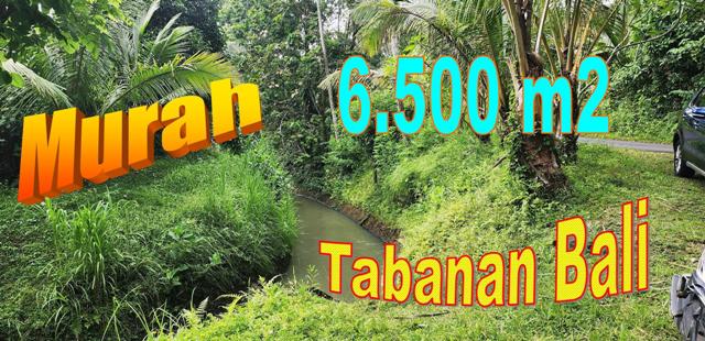 Affordable LAND FOR SALE IN TABANAN BALI TJTB704