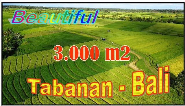Affordable LAND FOR SALE IN TABANAN BALI TJTB701