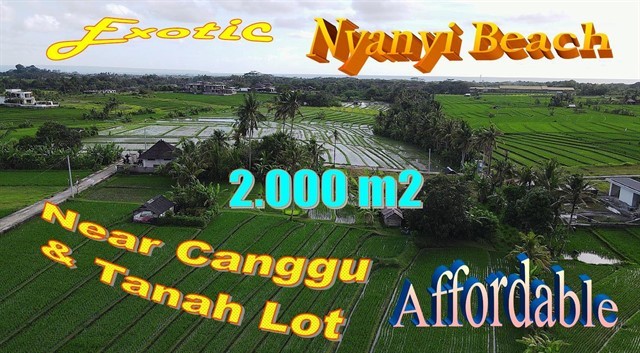 Affordable PROPERTY LAND FOR SALE IN Kediri Tabanan TJTB710