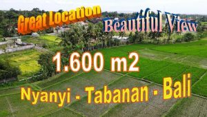 FOR SALE Affordable PROPERTY 1,600 m2 LAND IN Kediri Tabanan BALI TJTB711