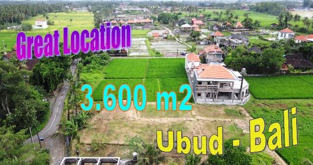 Affordable PROPERTY 3,600 m2 LAND SALE in Sukawati Ubud BALI TJUB836