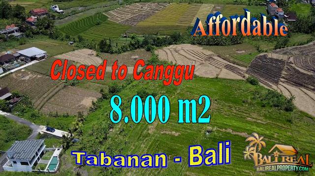 Affordable PROPERTY Kediri, Tabanan LAND FOR SALE TJTB734