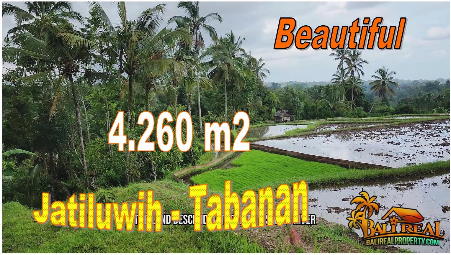 4,260 m2 LAND FOR SALE IN Penebel Tabanan BALI TJTB706