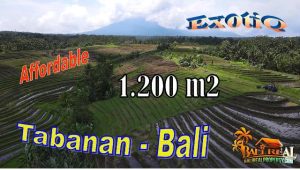 FOR SALE Beautiful LAND IN TABANAN BALI TJTB724