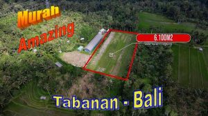 6,100 m2 LAND SALE IN Pupuan Tabanan BALI TJTB725