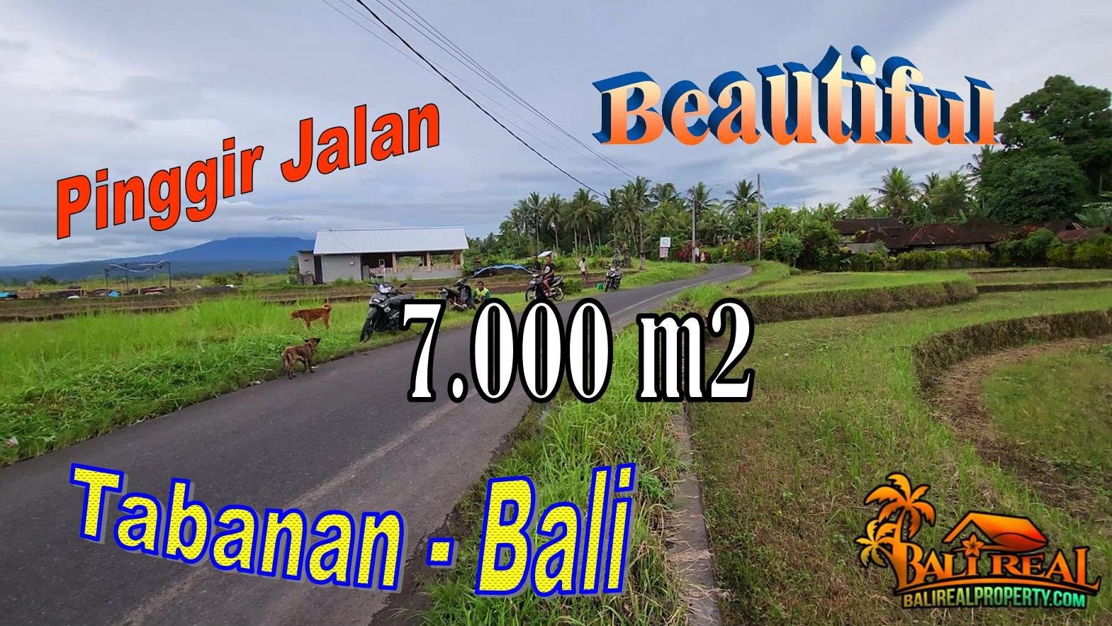 7,000 m2 LAND SALE IN Selemadeg Timur Tabanan BALI TJTB729