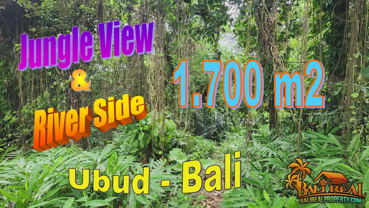 Cheap property 1,700 m2 LAND for SALE in UBUD TJUB856