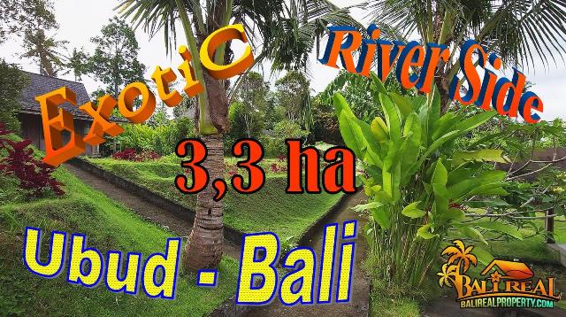 Exotic 33,000 m2 LAND in Sukawati Ubud BALI for SALE TJUB857