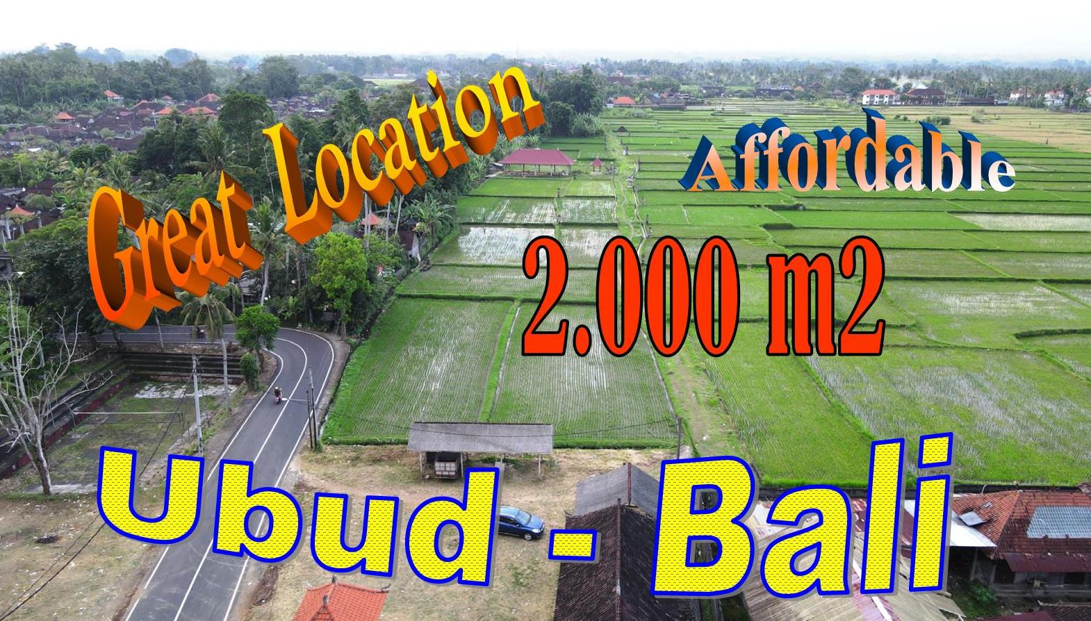 Magnificent Sukawati Ubud BALI 2,000 m2 LAND for SALE TJUB861