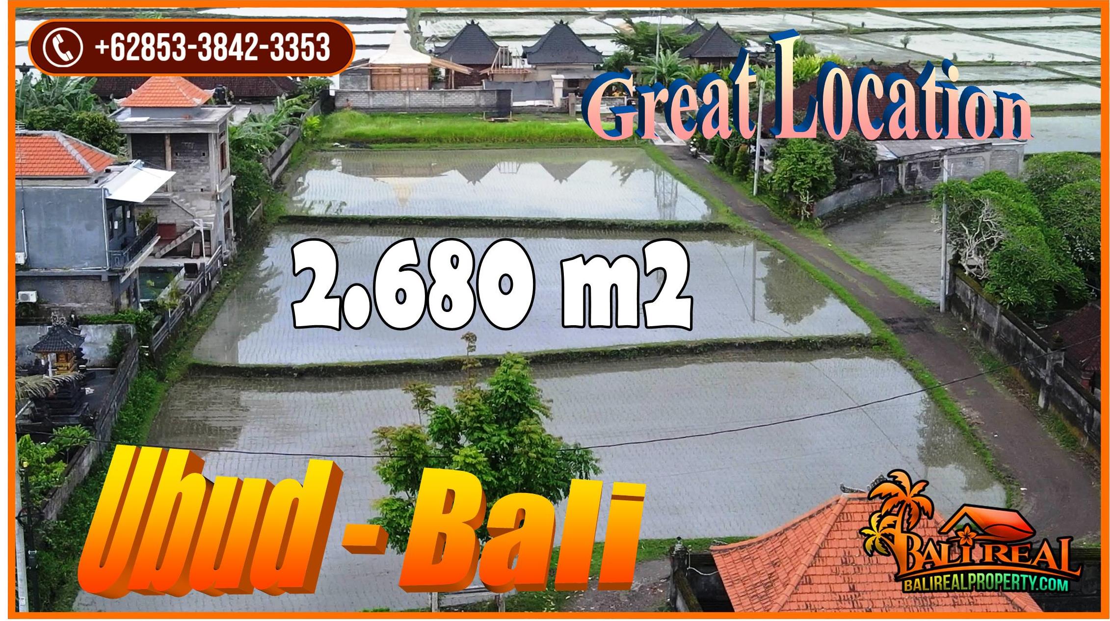 Exotic 2,680 m2 LAND in Ubud BALI for SALE TJUB855
