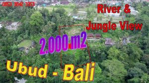 Beautiful PROPERTY LAND SALE in Tegalalang Ubud TJUB867