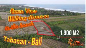 FOR SALE Beautiful 1,900 m2 LAND IN Sudimara Tabanan BALI TJTB738