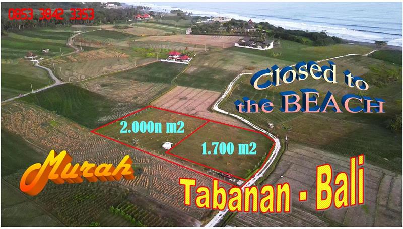 1,700 m2 LAND IN Selemadeg Tabanan BALI FOR SALE TJTB741