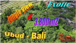 Affordable 3,800 m2 LAND in Ubud Tampaksiring BALI for SALE TJUB870