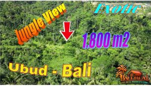 Affordable PROPERTY LAND SALE in Ubud Tegalalang TJUB872