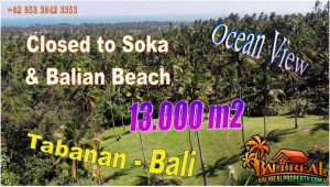 Magnificent 10,000 m2 LAND IN Selemadeg Barat, Tabanan BALI FOR SALE TJTB755