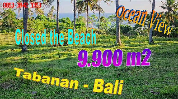 Magnificent 9,900 m2 LAND IN Selemadeg Barat Tabanan BALI FOR SALE TJTB760