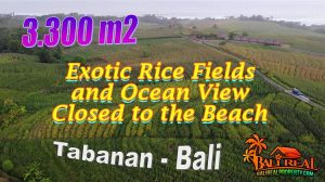 Ex0tic TABANAN BALI LAND FOR SALE TJTB766