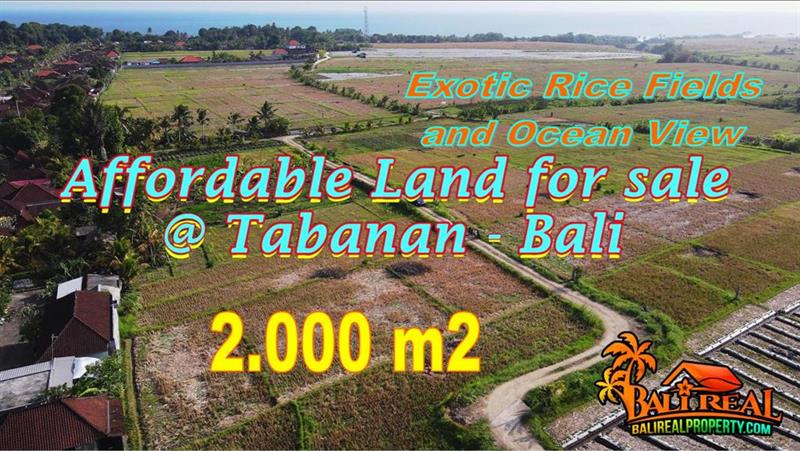 Affordable Kerambitan Tabanan BALI 1,500 m2 LAND FOR SALE TJTB769