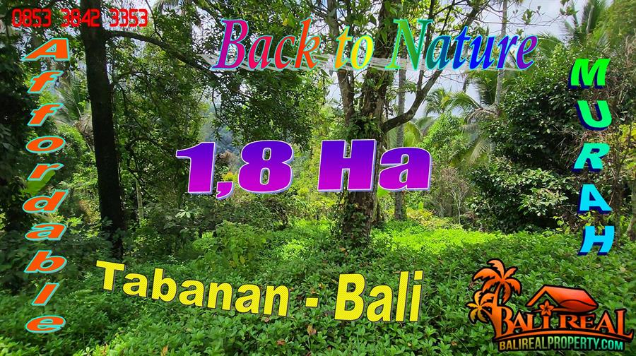 Magnificent PROPERTY LAND SALE IN Penebel Tabanan TJTB777