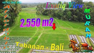 Magnificent PROPERTY Penebel Tabanan LAND FOR SALE TJTB778