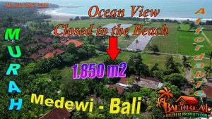 Affordable Ocean View Closed to the Beach Land for sale - TJB2038