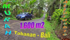 Beautiful Penebel Tabanan LAND FOR SALE TJTB780