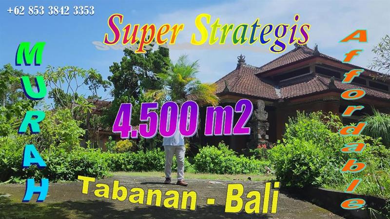 Exotic 4,500 m2 LAND IN Tabanan BALI FOR SALE TJTB820
