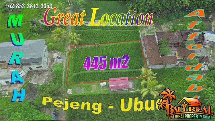 445 m2 LAND for SALE in Pejeng Ubud BALI TJUB878