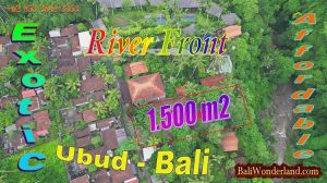 AFFORDABLE LAND FOR SALE IN UBUD BALI, EXOTIC JUNGLE VIEW BY PETANU RIVER TJUB880